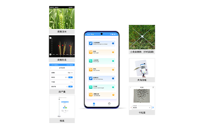 洛阳市小麦表型检测仪IN-XM04